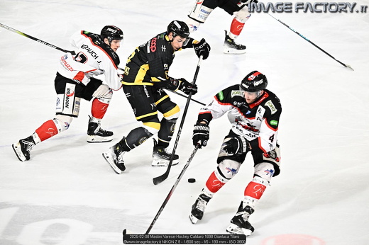 2025-02-08 Mastini Varese-Hockey Caldaro 1698 Gianluca Tilaro